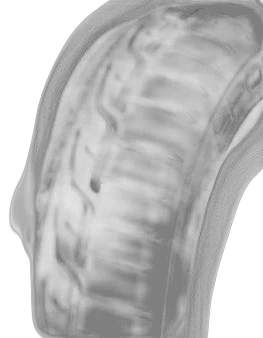 Dunlop SP Sport Maxx RT