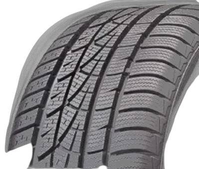 Hankook Winter i*cept evo W310