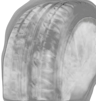 Tigar High Performance