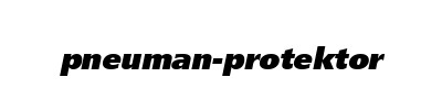 Pneuman (Protektor)
